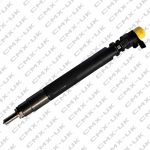 Delphi Common Rail Injector R00101DP