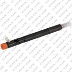 Delphi Common Rail Injector R04501D